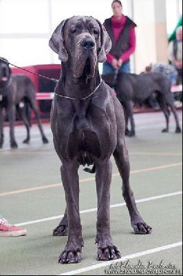 Almar della Baia Azzurra