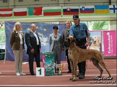 Tut-Ench-Amun VOM HAUS TIEFENBACH