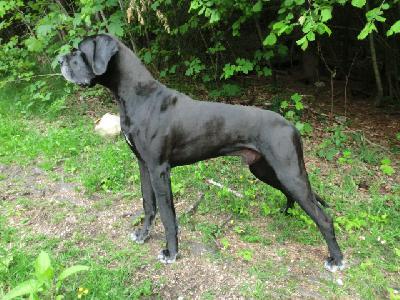 Balthasar VON BAVARIA A.M.