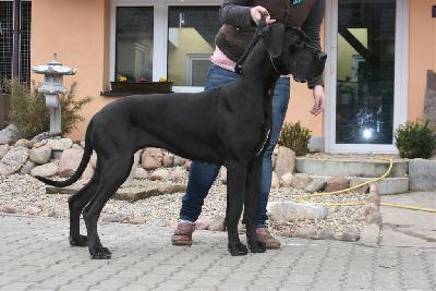 Caramella della Baia Azzurra