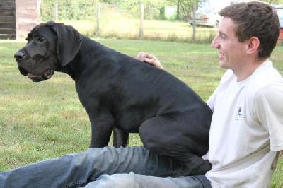 Black Crystal Vom Mephisto