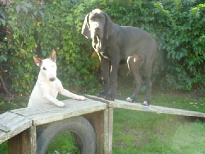 Black Crystal Vom Mephisto