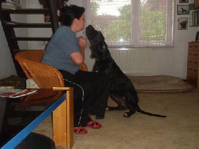 Black Crystal Vom Mephisto