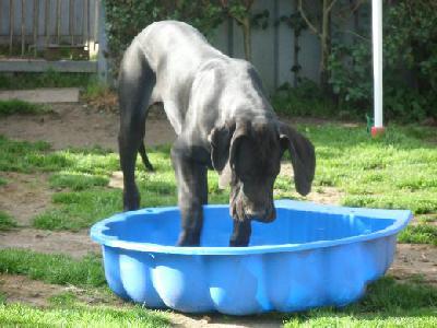 Black Crystal Vom Mephisto