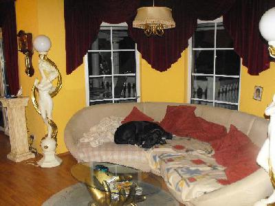 Black Crystal Vom Mephisto