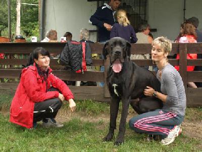 Black Crystal Vom Mephisto