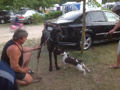 Black Crystal Vom Mephisto