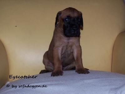 Eyecatcher Vom Hause Kaufmann