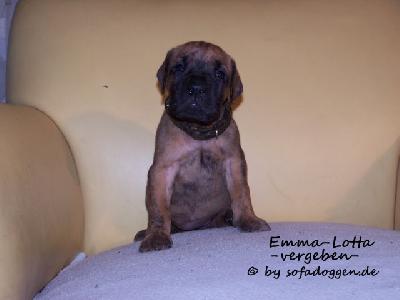 Emma-Lotte Vom Hause Kaufmann