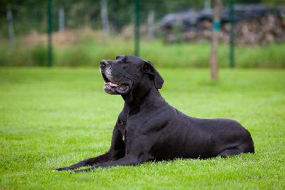 Clarissa VON BAVARIA A.M.