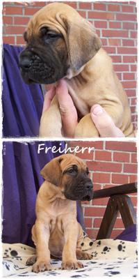 Freiherr Vom Hause Kaufmann