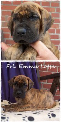 Fr�ulein Emma Vom Hause Kaufmann