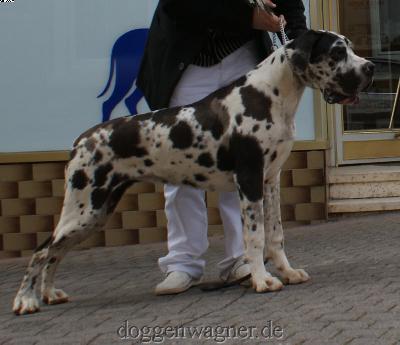 Canessa Vom Hause Wagner