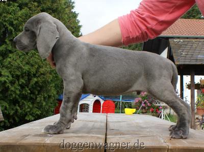 Energy Vom Hause Wagner