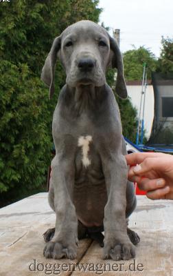 Else Vom Hause Wagner