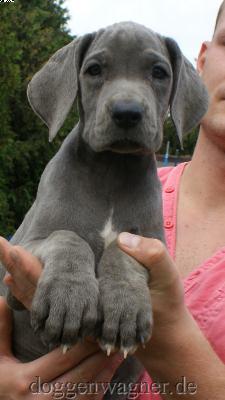 Elisabeth Vom Hause Wagner