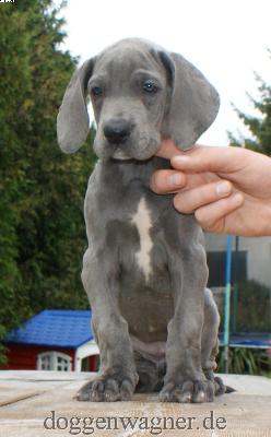 Eva Vom Hause Wagner