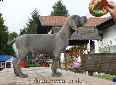 Eva Vom Hause Wagner