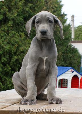 Emilia Vom Hause Wagner