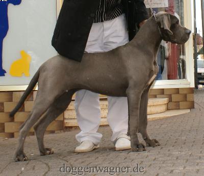 Euphoria Vom Hause Wagner