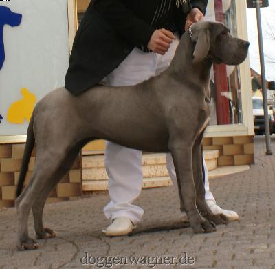 Euphoria Vom Hause Wagner