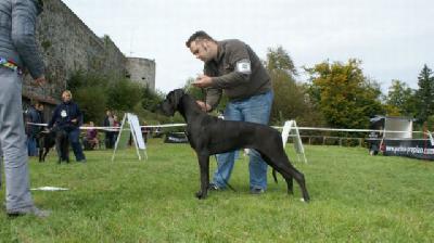 Ch Quality vom Herstallturm