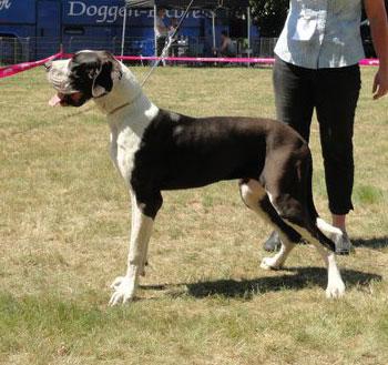 Arusha von der Wolfsh�hle