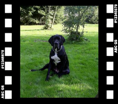 Yoko Ono von der Wolfsh�hle