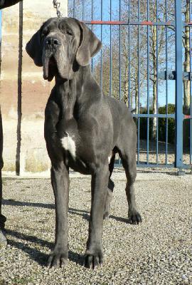 Edagio du Mont Tois�