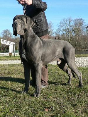 Edagio du Mont Tois�