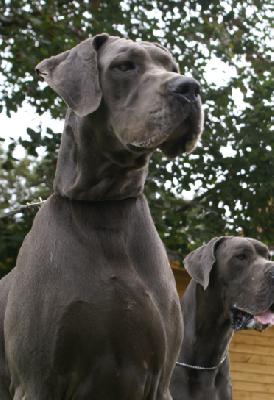 Veruschka von der Wolfsh�hle