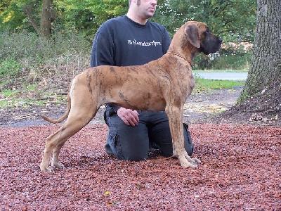 Maris vom Herstallturm