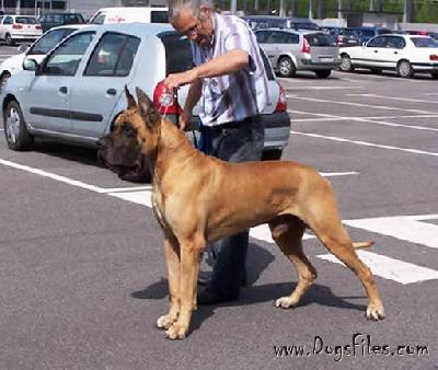 Vento des Terres de la Rairie