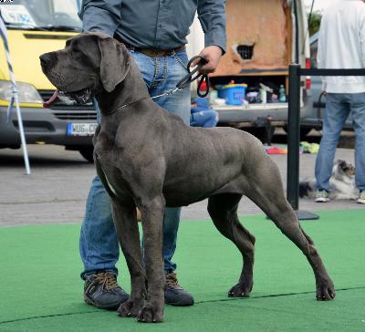 Gr�fin Sophie Vom Hause Wagner