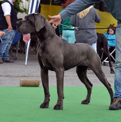 Grfin Sophie Vom Hause Wagner