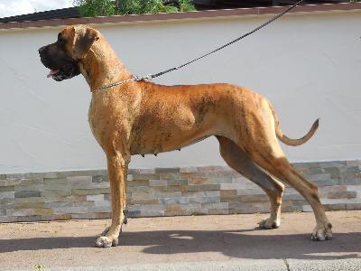 Paula vom Herstallturm