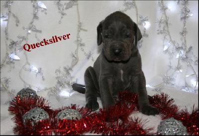 Quecksilver Von Blue Ground