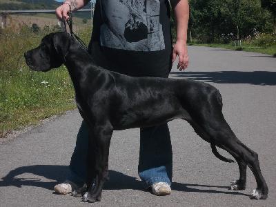 Queen vom Herstallturm