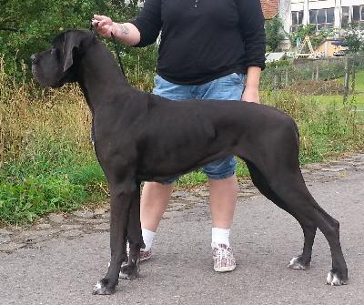 Queen vom Herstallturm