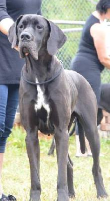 Queen vom Herstallturm