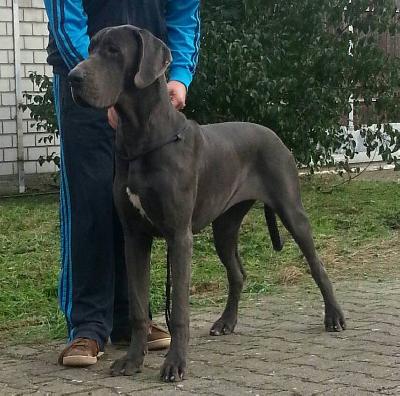 Marianne Vom Knigsland