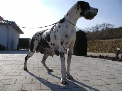 Indira von der Ofneth�hle