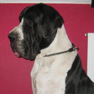 Eoll von Freya�s Rosenrot