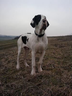 Efendi Mysliwi Wodana