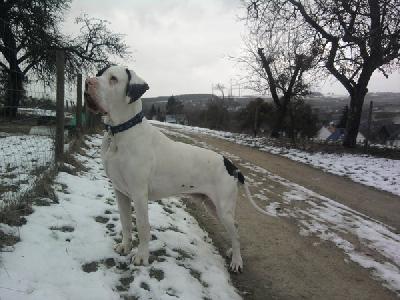 Efendi Mysliwi Wodana