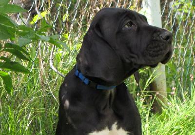 Attila vom H�llenweg