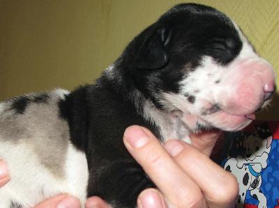 Anni vom H�llenweg