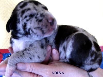 Adina vom H�llenweg