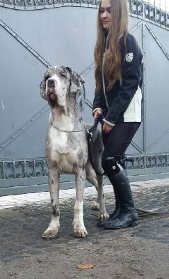 Filomena Von Schlesien