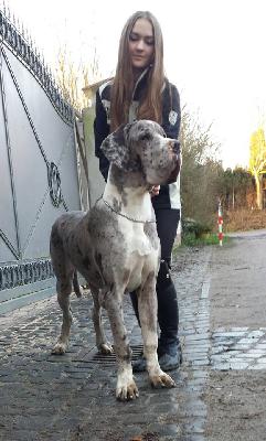 Filomena Von Schlesien